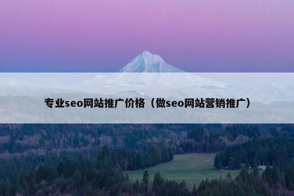 专业seo网站推广价格（做seo网站营销推广）