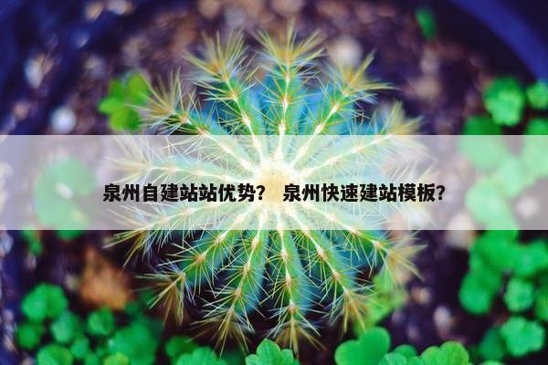 泉州自建站站优势？ 泉州快速建站模板？
