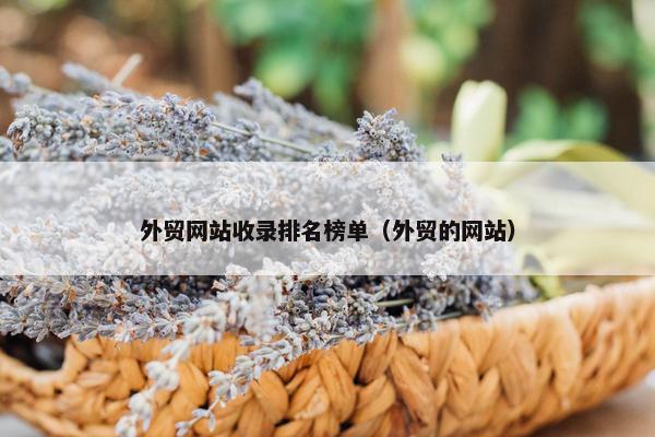 外贸网站收录排名榜单（外贸的网站）