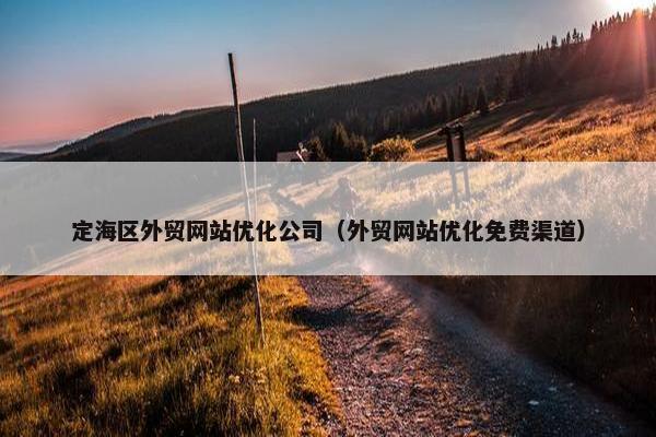 定海区外贸网站优化公司（外贸网站优化免费渠道）
