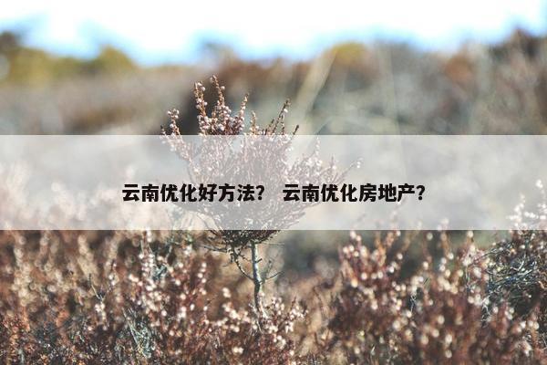 云南优化好方法？ 云南优化房地产？