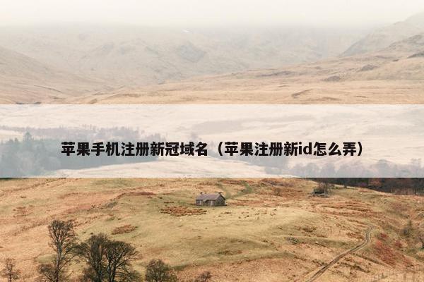 苹果手机注册新冠域名（苹果注册新id怎么弄）