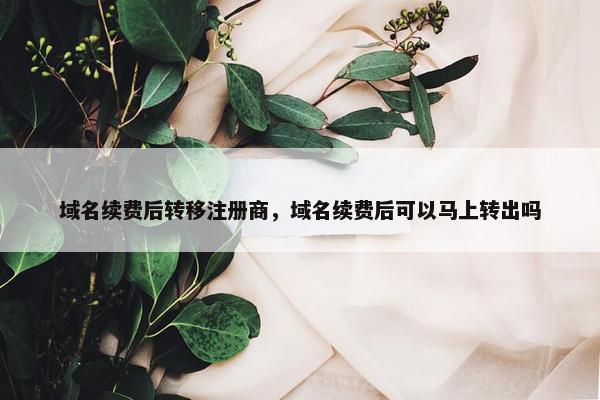 域名续费后转移注册商，域名续费后可以马上转出吗