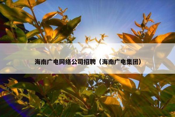 海南广电网络公司招聘（海南广电集团）
