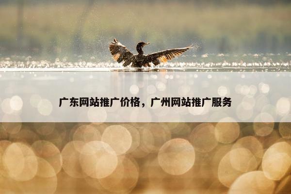 广东网站推广价格，广州网站推广服务