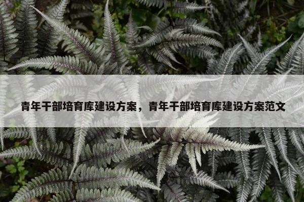 青年干部培育库建设方案，青年干部培育库建设方案范文