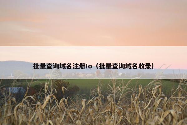批量查询域名注册Io（批量查询域名收录）