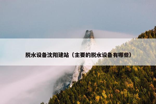 脱水设备沈阳建站（主要的脱水设备有哪些）