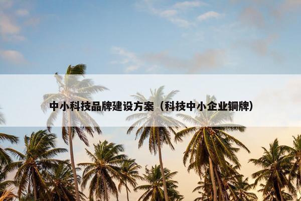中小科技品牌建设方案（科技中小企业铜牌）