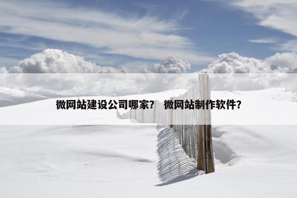 微网站建设公司哪家？ 微网站制作软件？