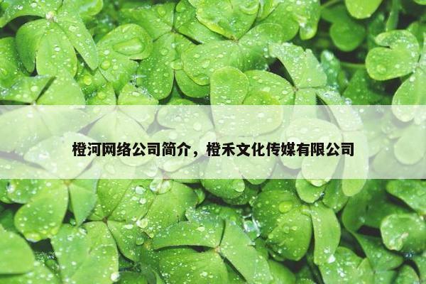橙河网络公司简介，橙禾文化传媒有限公司