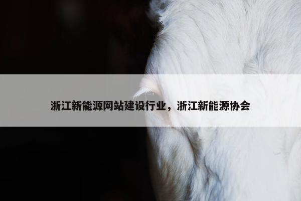 浙江新能源网站建设行业，浙江新能源协会