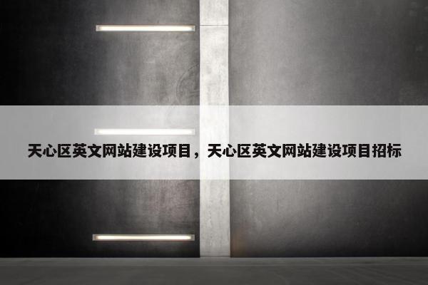 天心区英文网站建设项目，天心区英文网站建设项目招标