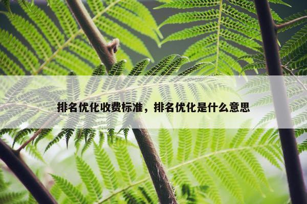 排名优化收费标准，排名优化是什么意思
