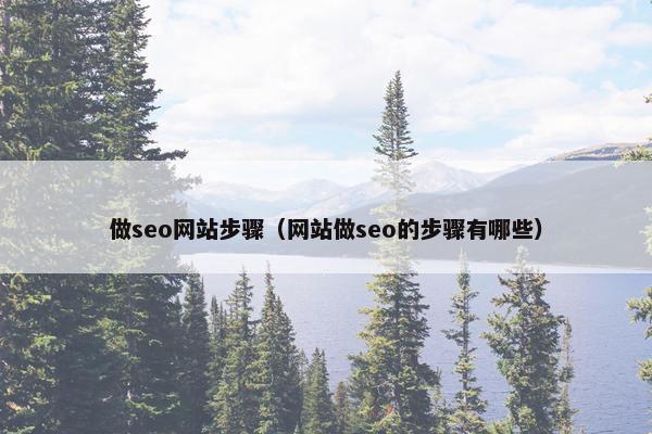 做seo网站步骤（网站做seo的步骤有哪些）