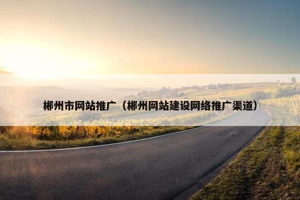 郴州市网站推广（郴州网站建设网络推广渠道）