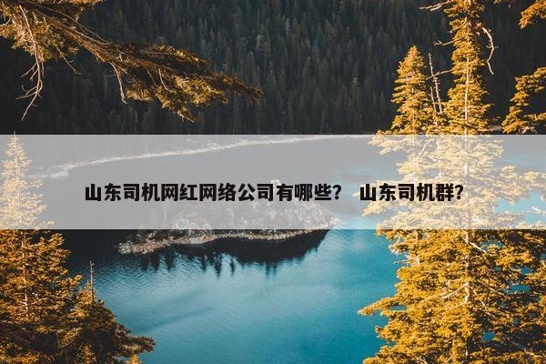 山东司机网红网络公司有哪些？ 山东司机群？