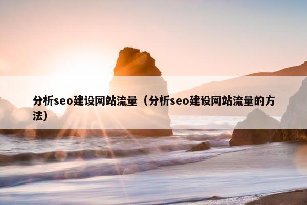 分析seo建设网站流量（分析seo建设网站流量的方法）