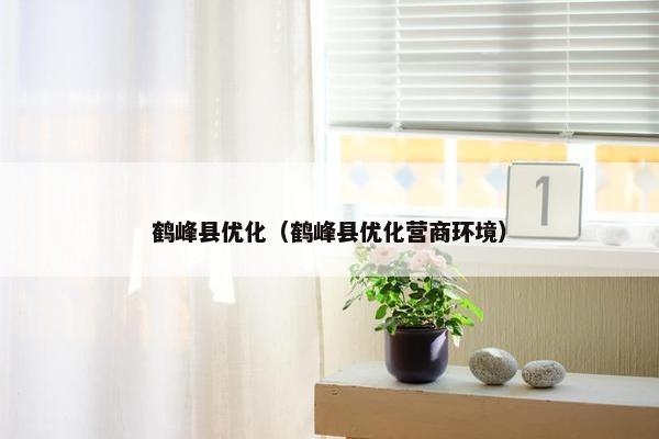 鹤峰县优化（鹤峰县优化营商环境）