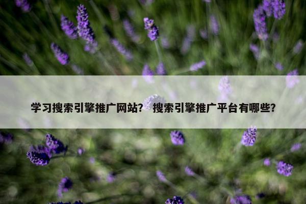 学习搜索引擎推广网站？ 搜索引擎推广平台有哪些？