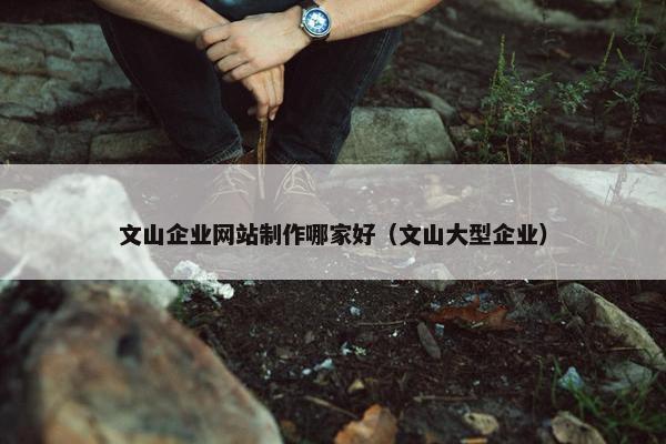 文山企业网站制作哪家好（文山大型企业）