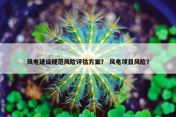 风电建设规范风险评估方案？ 风电项目风险？