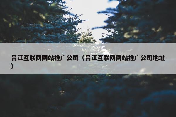 昌江互联网网站推广公司（昌江互联网网站推广公司地址）