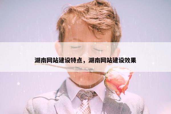 湖南网站建设特点，湖南网站建设效果
