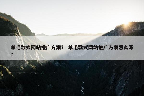 羊毛款式网站推广方案？ 羊毛款式网站推广方案怎么写？