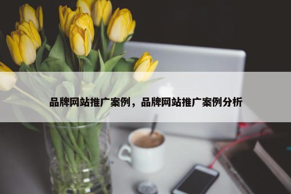 品牌网站推广案例，品牌网站推广案例分析