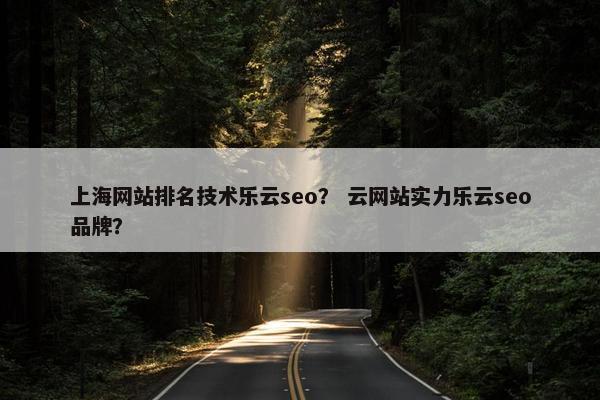 上海网站排名技术乐云seo？ 云网站实力乐云seo品牌？