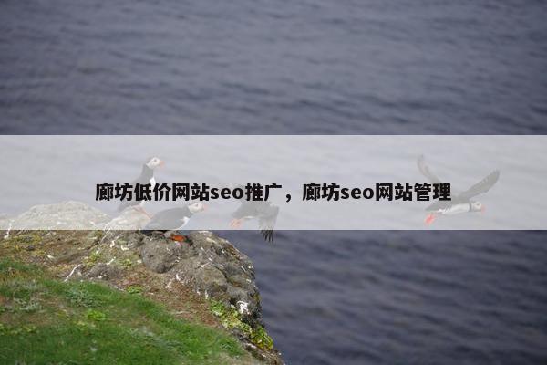 廊坊低价网站seo推广，廊坊seo网站管理