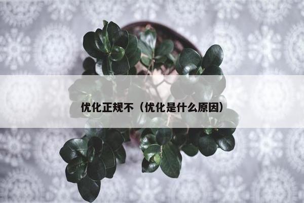 优化正规不（优化是什么原因）