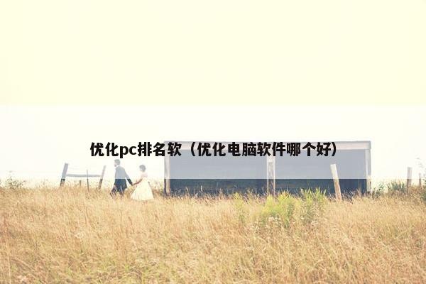 优化pc排名软（优化电脑软件哪个好）
