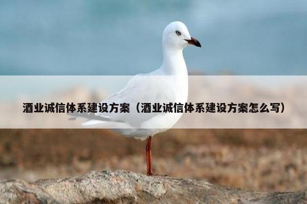 酒业诚信体系建设方案（酒业诚信体系建设方案怎么写）