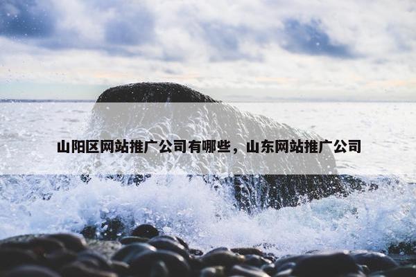 山阳区网站推广公司有哪些，山东网站推广公司