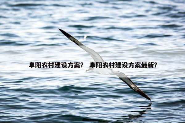 阜阳农村建设方案？ 阜阳农村建设方案最新？