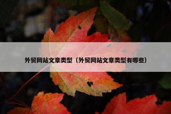 外贸网站文章类型（外贸网站文章类型有哪些）