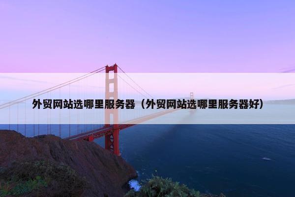 外贸网站选哪里服务器（外贸网站选哪里服务器好）