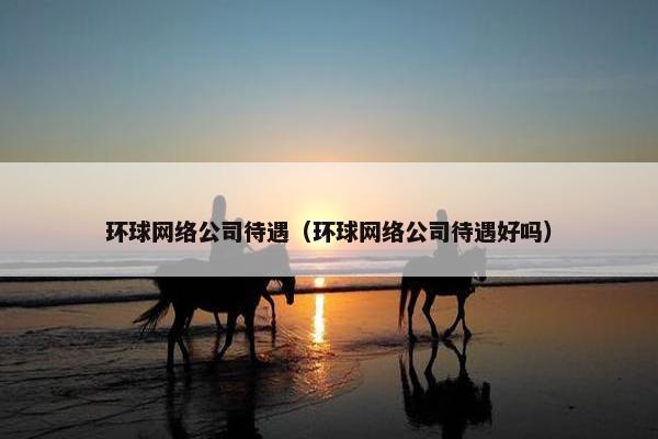 环球网络公司待遇（环球网络公司待遇好吗）
