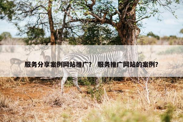 服务分享案例网站推广? 服务推广网站的案例? 服务分享案例网站推广? 服务推广网站的案例?