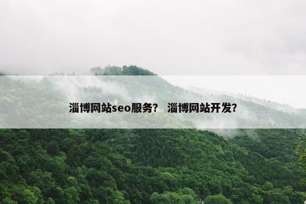 淄博网站seo服务？ 淄博网站开发？