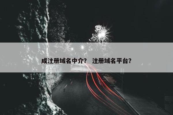 成注册域名中介？ 注册域名平台？