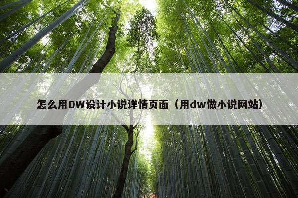 怎么用DW设计小说详情页面（用dw做小说网站）