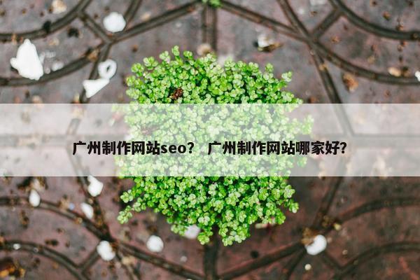 广州制作网站seo？ 广州制作网站哪家好？