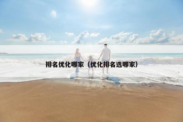 排名优化哪家（优化排名选哪家）