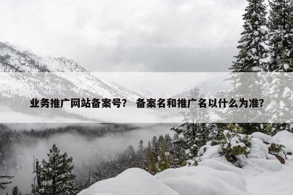 业务推广网站备案号？ 备案名和推广名以什么为准？