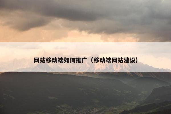 网站移动端如何推广（移动端网站建设）