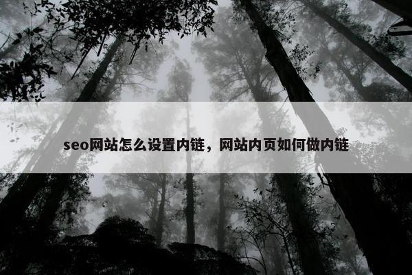 seo网站怎么设置内链，网站内页如何做内链