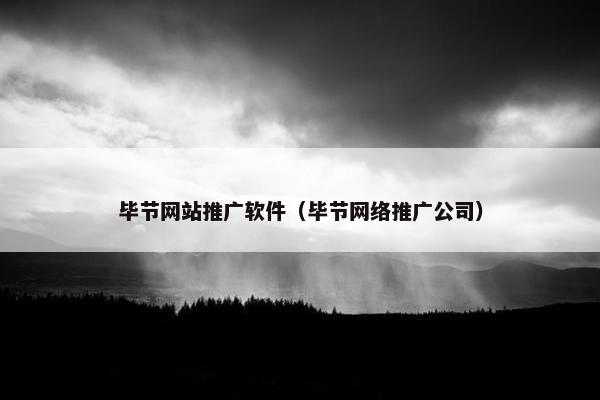 毕节网站推广软件（毕节网络推广公司）